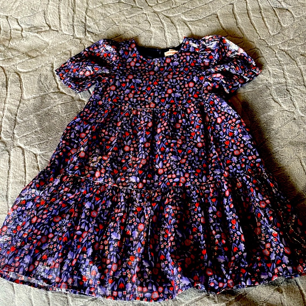 Cat and Jack Shimmery girls size 6 dress.
